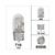 BULB T10 12V  5W (1)
