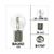 BULB BA20D 12V 35/35W S2 CE approval BOLLARD (1)
