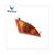 CLIGNOTEUR VERRE HONDA CHIOCCIOLA D.D. CE