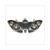 KOPLAMP PIAGGIO X9 01-02 125cc CE