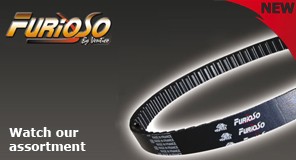 Furioso V-belt