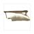 SP.INFERIEUR PEUGEOT SPEEDFIGHT DROIT GRIS ORG