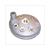 CILINDERKOP AIRSAL MORINI LC 41.0mm 